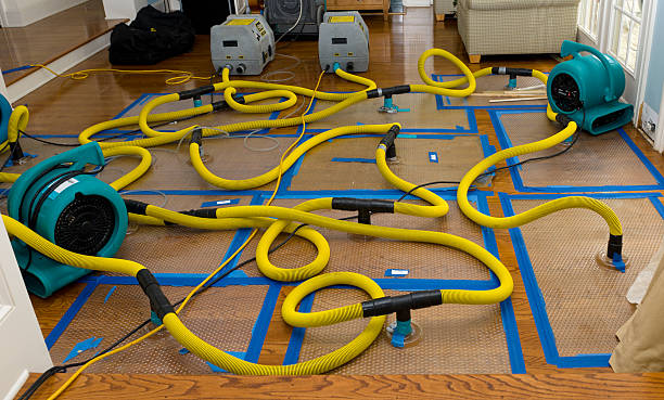 Professional Water Damage Repair technician working in Dennis, TX