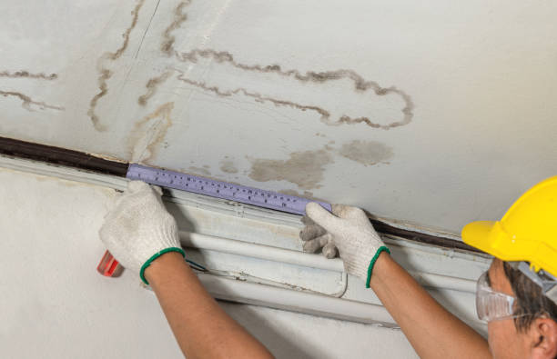Affordable Water Damage Repair solutions in Dennis, TX